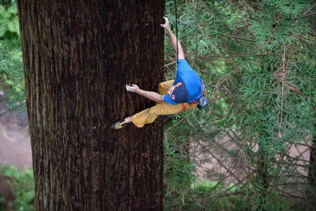 chris-sharma-freeclimbing-redwood-great-ascent-630_0.jpg